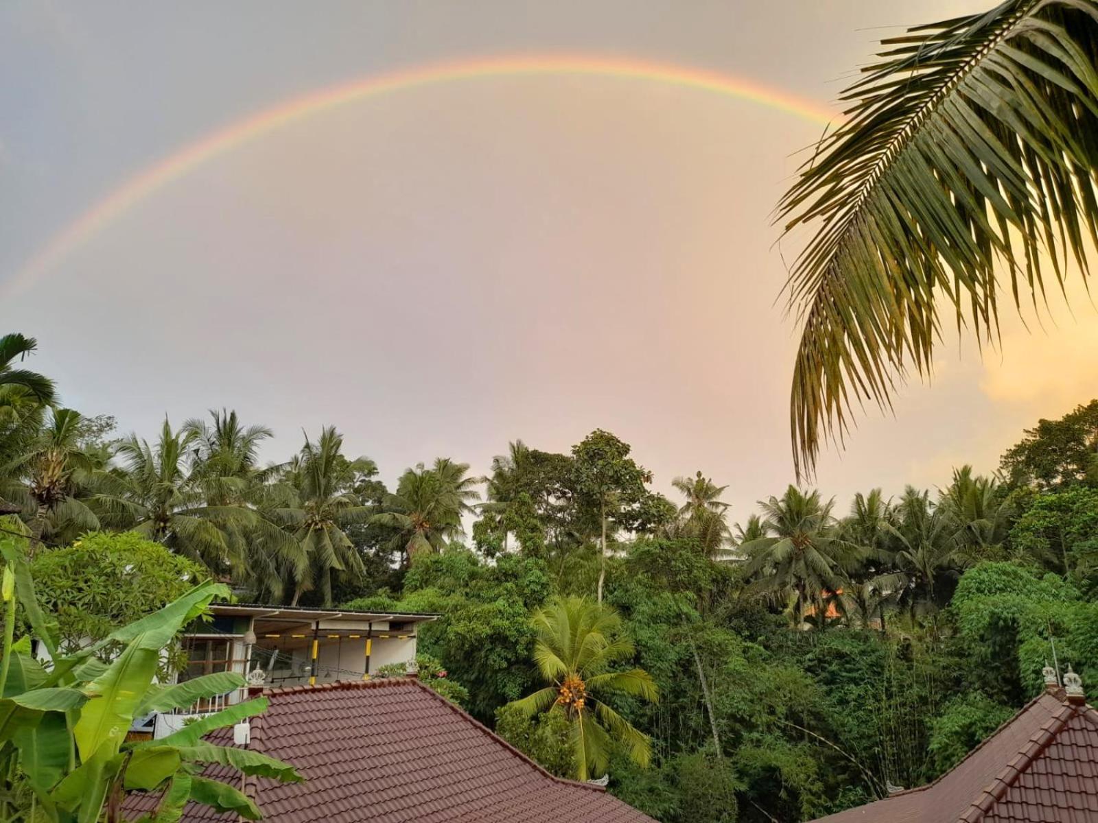 As I Am Ubud Retreat Exterior foto